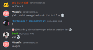 Mikarific on the rplace discord in the general channel, saying "y'all couldn't even get a domain that isn't free 💀"