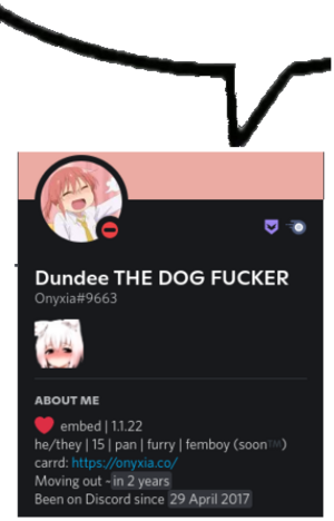 A reaction image featuring a profile named "dundee the dog fucker" with an insanely cringe bio